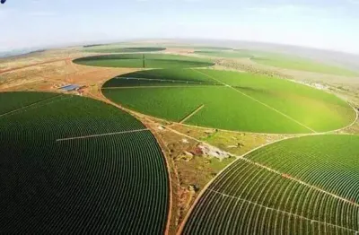 Excelente fazenda de café a venda na região de buritizeiro – mg.