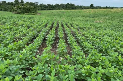 Fazenda à venda na Área Rural de Araguaína, Araguaína 