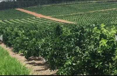 Fazenda à venda no Terras Altas, Avaré 