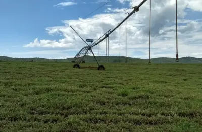 Fazenda à venda na Zona Rural, Manga 