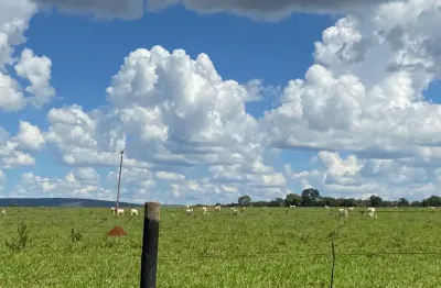 Fazenda à venda na Zona Rural, Caetanópolis 