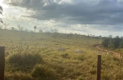 Fazenda à venda na Zona Rural, Matozinhos 