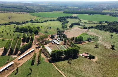 Fazenda à venda na Zona Rural, Felixlândia 