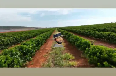 Fazenda à venda no Centro, Joaquim Felício 