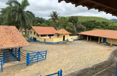 Maravilhosa fazenda com múltiplas aptidões em são joão nepomuceno