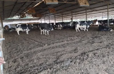 Fazenda à venda na Área Rural de Pará de Minas, Pará de Minas 