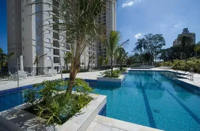 Lindo apartamento 2 dormitórios em são bernardo do campo
