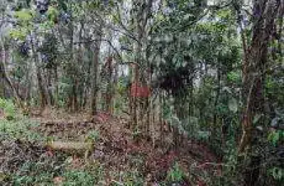 Terreno à venda no Varginha, São Bernardo do Campo 