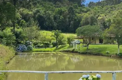 Fazenda à venda no Centro, Alfredo Wagner 
