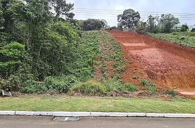 Terreno em condomínio fechado à venda na Rua Vicente Vanni Nardelli, Novo Horizonte, Juiz de Fora