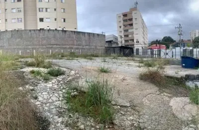 Chácara / sítio para alugar na Vila Galvão, Guarulhos 
