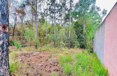 Chácara / sítio à venda em Corumbá, Mairiporã 