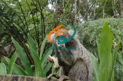 Chácara / sítio com 2 quartos à venda no Clube dos Oficiais, Suzano 