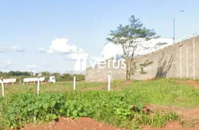 Terreno à venda no Conjunto Segismundo Pereira, Uberlândia 