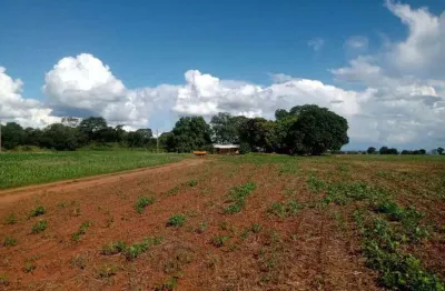 Chácara / sítio com 3 quartos à venda no Centro, Jaraguari 