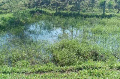 Chácara de 57 hectares. rica em água. bonfim. jaraguari ms.