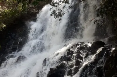 Fazenda com 2 salas à venda na Rua Coronel Antônio Gonçalves, 000, Zona Rural, Bandeirantes