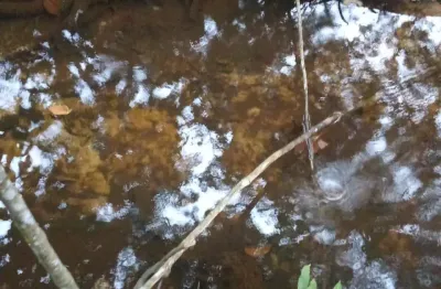 Chácara / sítio com 3 quartos à venda na Rua Orlando Nogueira, Zona Rural, Jaraguari