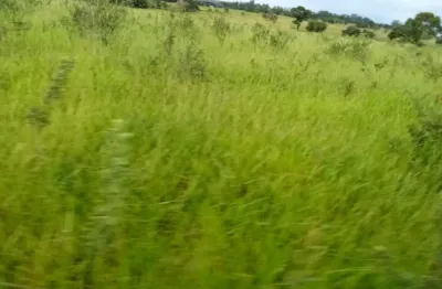 Chácara / sítio à venda na Rua Orlando Nogueira, Zona Rural, Jaraguari