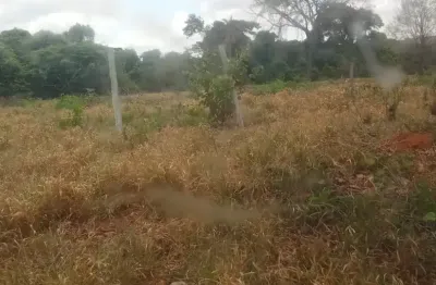 Chácara / sítio à venda na Zona Rural, Jaraguari 