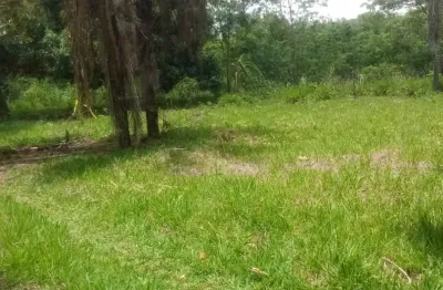 Oportunidade terra de agricultura.  5.5 hectares.  jaraguari ms