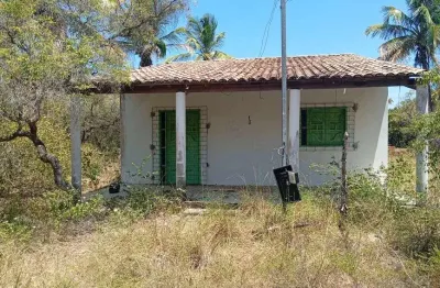 Sítio com 2,7 tarefas no povoado angelin né cidade de- santo amaro das brotas - se