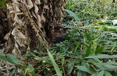 Grande terreno à venda em botujuru, campo limpo paulista