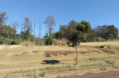 Terreno à venda na Rua Tranquilo Morgon, Jardim São Basílio, Maringá