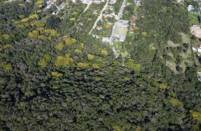 Terreno comercial à venda na Praia do Estaleiro, Balneário Camboriú 