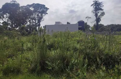 Terreno comercial à venda no Brandalize, Itapoá 