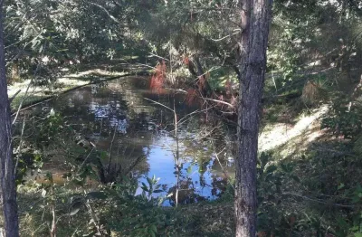 Terreno à venda,  101.000 m²  (ideal para centro de distribuição) são miguel , biguaçu/sc
