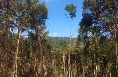 Terreno comercial à venda na Zona Rural, Rancho Queimado 