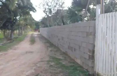 Chácara com 600 tipos de plantações pelo terreno! com 5 dormitórios em canelinhas/sc.