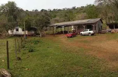 Fazenda à venda, 28,5 alqueires, pinhal grande, laranjal/pr