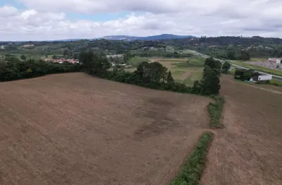 Área comercial com 250m2 com 400 metros de frente para a br em campo largo - curitiba