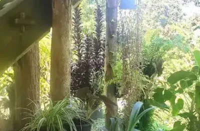 Sítio com lagoa e 35 mil m² de terreno produtivo em são joão de itaperiú -sc