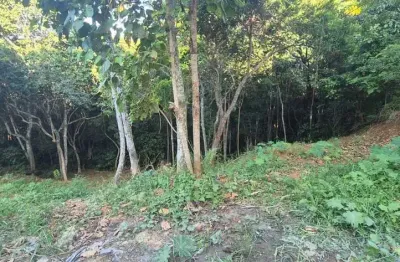 Terreno comercial à venda na Cabeçudas, Itajaí 