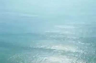 Exclusivo terreno​ 14.189,90 m2 na praia de taquaras​ com vista mar em balneário camboriú
