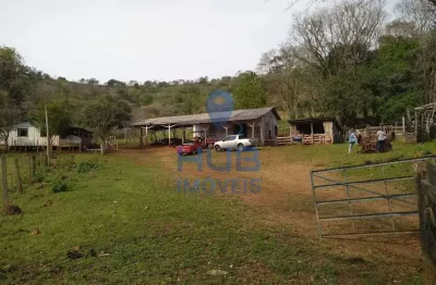 Chácara / sítio com 2 quartos à venda no Laranjal, Pinhal Grande 