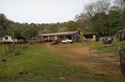 Fazenda com 2 dormitórios em pinhal grande - laranjal