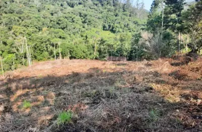Terreno rural com 3.000 m² no bairro alto pitanga, nova trento/sc
