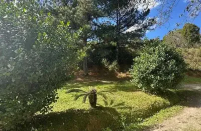 Terreno com aproximadamente 8.500 m² ideal para condomínio de casas, em balneário camboriú/sc