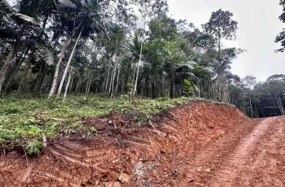 Terreno comercial à venda no Centro, Massaranduba 