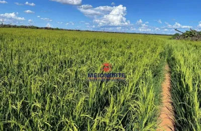Fazenda com 1 sala à venda na ÁRea Rural, 1, Zona Rural, Anapu