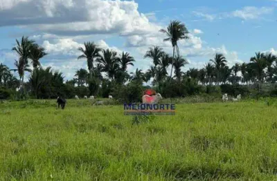 Fazenda com 1 dormitório à venda, 14400000 m² por r$ 2.500.000,00 - arari - zona rural - arari/ma