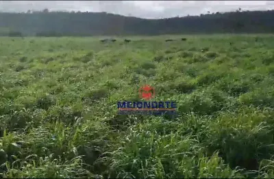 Fazenda com 1 dormitório à venda, 10000 m² por r$ 37.400.000,00 - centro - bom jesus das selvas/ma
