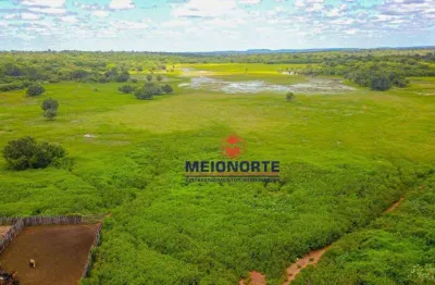 Fazenda com 1 dormitório à venda, 99000000 m² por r$ 24.750.000,00 - centro - morro cabeça no tempo/pi