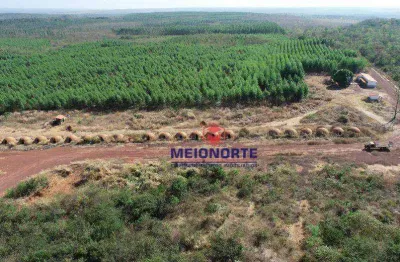 Fazenda com 1 dormitório à venda, 18724179 m² por r$ 46.811.000,00 - bairro canoeiro - grajaú/ma