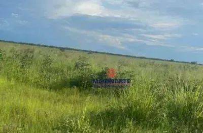 Fazenda com 1 dormitório à venda, 17153601 m² por r$ 17.160.000,00 - área rural - floriano/pi