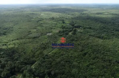 Fazenda com 1 dormitório à venda, 20190000 m² por r$ 2.300.000,00 - centro - mirinzal/ma